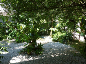 Flautista Suites